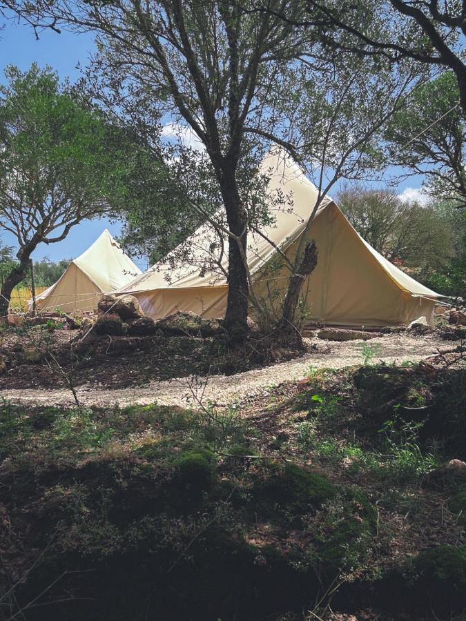 Pasare Glamping_Anglonaruralexperience Hotel Perfugas Ngoại thất bức ảnh