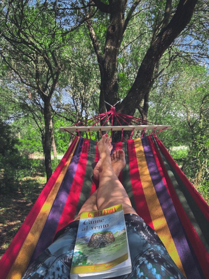 Pasare Glamping_Anglonaruralexperience Hotel Perfugas Ngoại thất bức ảnh