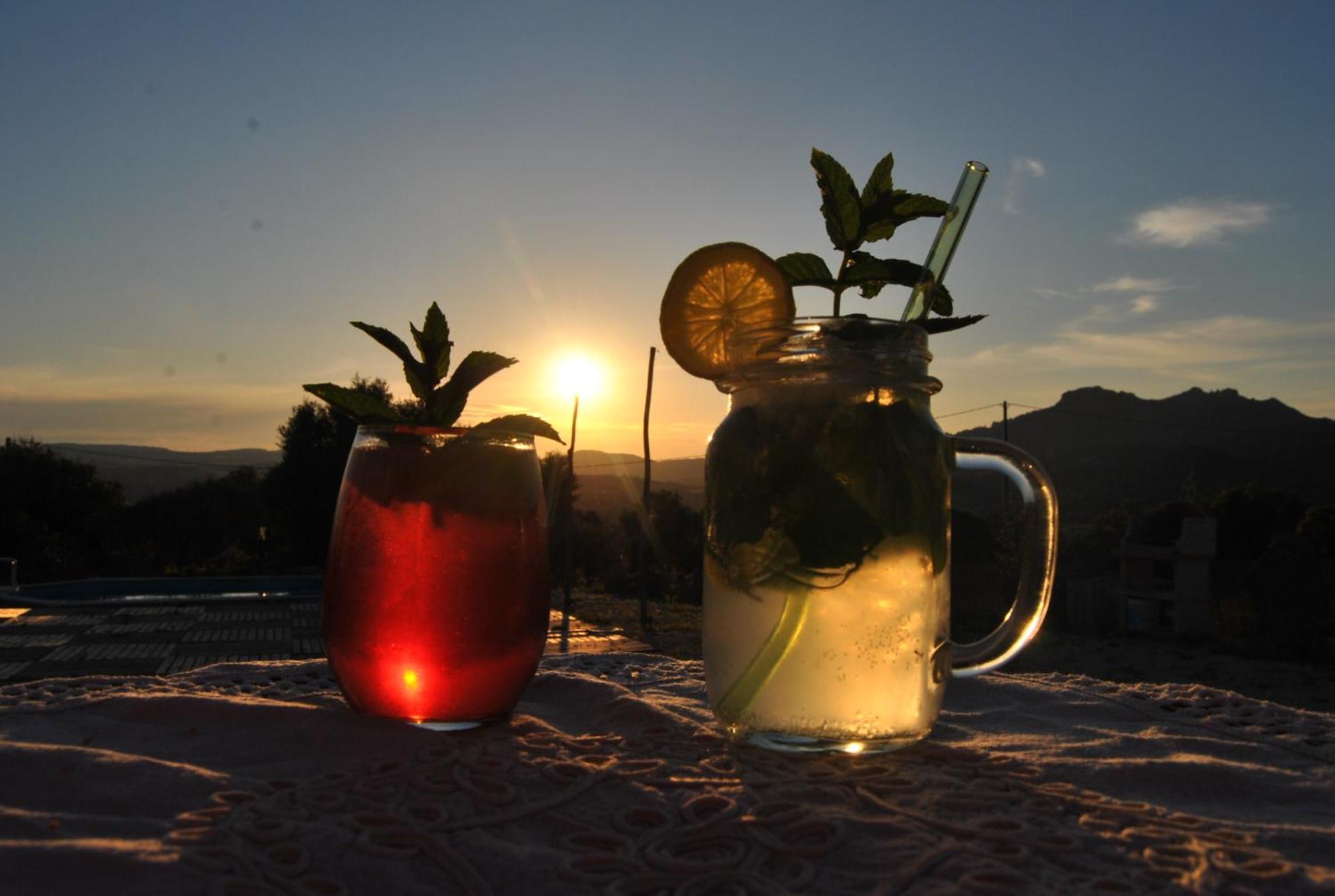 Pasare Glamping_Anglonaruralexperience Hotel Perfugas Ngoại thất bức ảnh